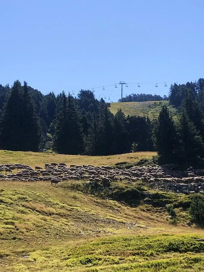 Apartmán Appartement Cosy A Chamrousse Avec Vue Sur Montagne + 34M²